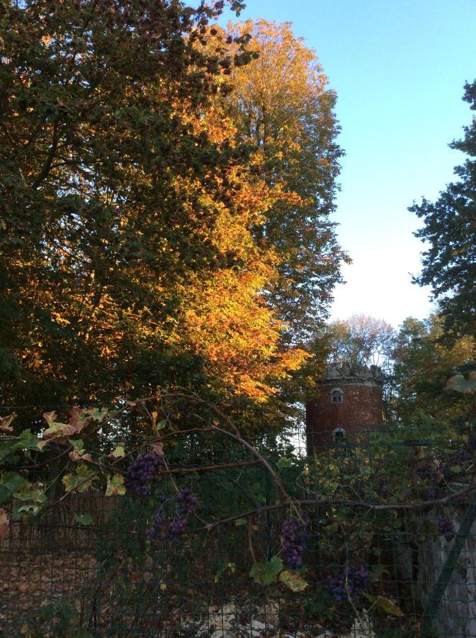 Bed and Breakfast L'Orme Des Voyageurs Boutigny Exterior foto